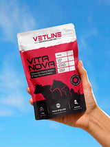 Vita Nova